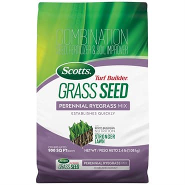 Scotts 2.4# Turf Builder Perennial Rye — photo 1 of 2