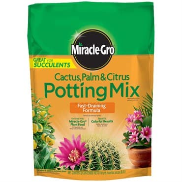 Miracle Gro 8qt Cactus, Palm & Citrus — photo 1 of 2
