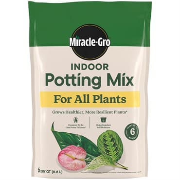 Miracle Gro 6qt Indoor Potting Mix All Plants — photo 1 of 2