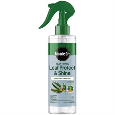 Miracle-Gro 8oz Leaf Protect and Shine — photo 1 of 2