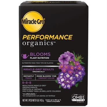 Miracle Gro 1# Perf Org Bold Blooms — photo 1 of 2