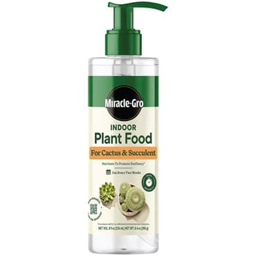 Miracle-Gro 8oz Indoor Plant Food Cactus & Succ — photo 1 of 2