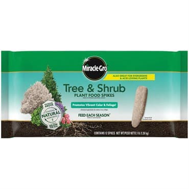 Miracle Gro 12pk Tree & Shrub Spikes — photo 1 of 2