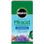 Miracle Gro 4# Miracid Acid-Loving — thumbnail 1 of 2