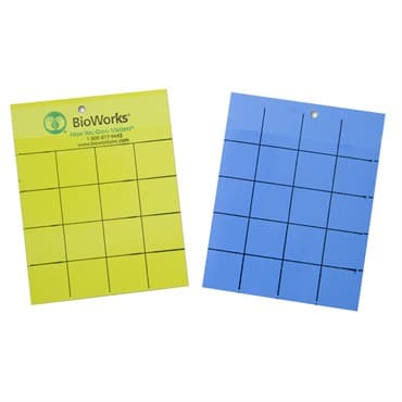 BioWorks Sticky Cards Yellow & Blue 100/bx 4 x 5 — photo 1 of 2