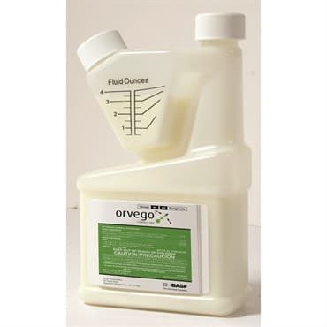 BASF Orvego 28oz (6/Cs) ( Ametoctradin + Dimethomorph ) — photo 1 of 2