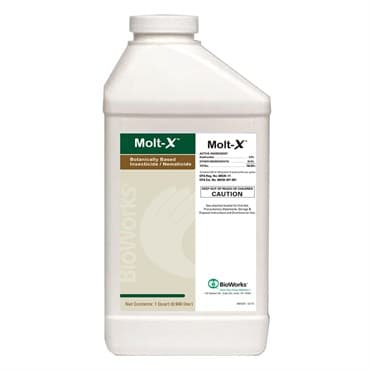BioWorks Molt-X 1Qt OMRI (6/Cs) — photo 1 of 2