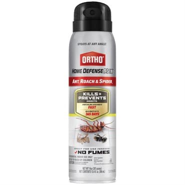 Ortho 14oz Ant, Roach & Spider Aerosol — photo 1 of 2