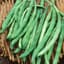 Beans, Kentucky Wonder Brown Pole 1/2lb — thumbnail 1 of 2