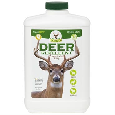 Bobbex 32oz Deer Repellent Concentrate — photo 1 of 2