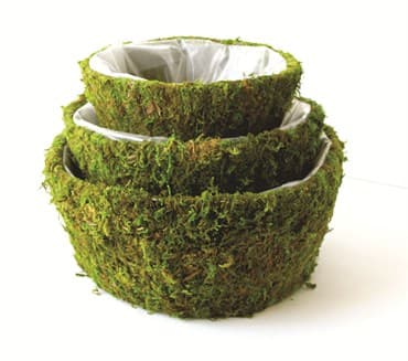SuperMoss 3pc Set Roseville Round Moss Deco Baskets — photo 1 of 2