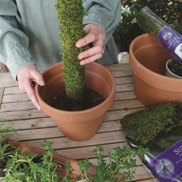SuperMoss 3' Moss Pole Preserved — photo 1 of 2