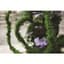 SuperMoss 5-6' Bag Preserved Thick Moss Vine — thumbnail 1 of 2