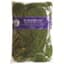 SuperMoss 8oz Sheet Moss Preserved Fresh Green — thumbnail 1 of 2