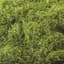 SuperMoss 8oz Spanish Moss Preserved Chartreuse — thumbnail 1 of 2