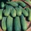 Cucumber, Boston Pickling 1lb — thumbnail 1 of 2