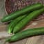 Cucumber, Tasty Green/ Burpless #26 1/2oz — thumbnail 1 of 2