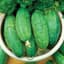 Cucumber, Smr58 1/2oz — thumbnail 1 of 2