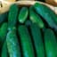Cucumber, Marketer 1/2oz — thumbnail 1 of 2