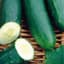 Cucumber, Marketmore 76 1 lb — thumbnail 1 of 2