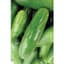 Cucumber, White Spine 1lb — thumbnail 1 of 2