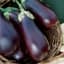 Eggplant, Black Beauty 1lb — thumbnail 1 of 2