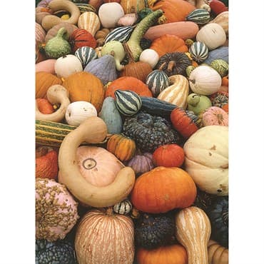 Gourds, Mixed Large Small 1/2oz — photo 1 of 2
