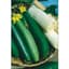 Gourds, Luffa 1/2lb — thumbnail 1 of 2