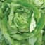 Lettuce, Bibb 1/2lb — thumbnail 1 of 2