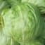 Lettuce, Iceberg 1/2lb — thumbnail 1 of 2