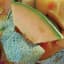 Cantaloupe, Rocky Ford Green Flesh 1/2lb — thumbnail 1 of 2
