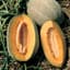 Cantaloupe, Hales Best Jumbo 1/2lb — thumbnail 1 of 2