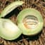 Cantaloupe, Honeydew 1/2oz — thumbnail 1 of 2