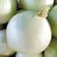 Onion, White Sweet Spanish 1/2oz — thumbnail 1 of 2