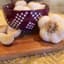 DVG Garlic (softneck) - 100 bulb count — thumbnail 1 of 2