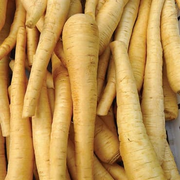 Parsnips, Hollow Crown 1/2oz — photo 1 of 2