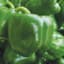Peppers, California Wonder 1/2oz — thumbnail 1 of 2