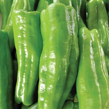 Peppers, Cubanelle 1/2oz — photo 1 of 2
