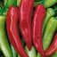 Peppers, Hungarian Hot Wax 1/2oz — thumbnail 1 of 2