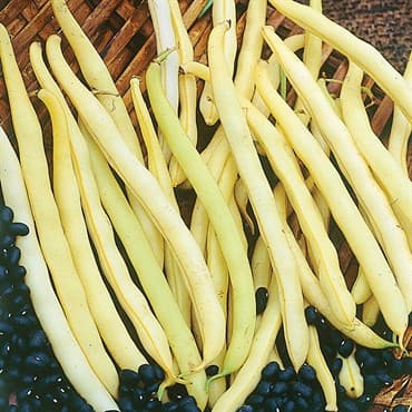 Beans, Pencil Pod Black Wax 50lb — photo 1 of 2
