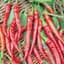 Peppers, Long Red Cayenne 1/2oz — thumbnail 1 of 2