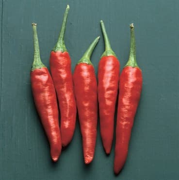 Peppers, Super Chili Hybrid - 100 Sd Ct — photo 1 of 2