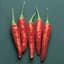 Peppers, Super Chili Hybrid - 100 Sd Ct — thumbnail 1 of 2