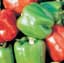 Peppers, Yolo Wonder 1/2oz — thumbnail 1 of 2