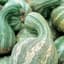 Pumpkin, Green Striped Cushaw 1/2oz — thumbnail 1 of 2