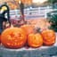 Pumpkin, Jack O Lantern 1/2lb — thumbnail 1 of 2