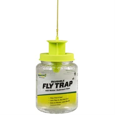 Rescue Reusable Fly Trap — photo 1 of 2