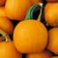 Pumpkin, Baby Pam 1/2oz — thumbnail 1 of 2