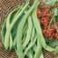 Beans, State Half Runner 25lb — thumbnail 1 of 2