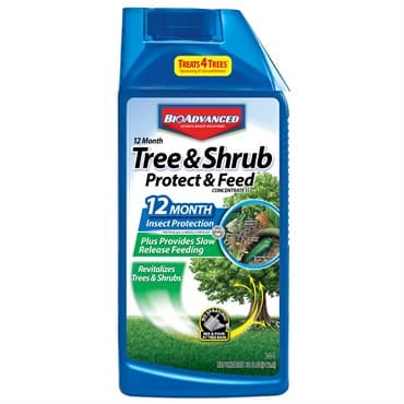 BioAdvanced 32oz 12 Month Tree & Shrub Protect & Feed II Concentrate (Keywords: Bayer ) — photo 1 of 2